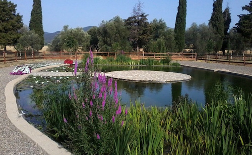 Impermeabilización de estanques de jardín, piscinas naturales y estanques  para natación